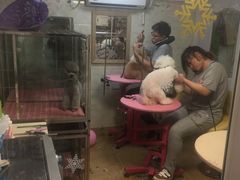 -喵汪宠物生活馆(涞坊路店)