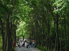 -日照海滨国家森林公园