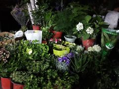 -大学城夜市大排档(凤栖路店)