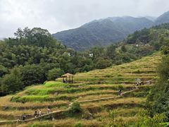 -石台牯牛降景区