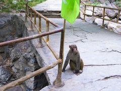 -北京上方山国家森林公园