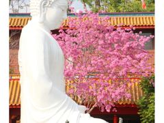 -天竺岩寺