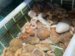 -吉友粥底火锅(方斜路店)