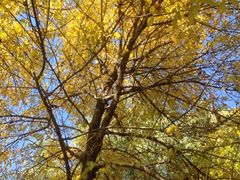 iphone_upload_pic-朝阳公园游乐园