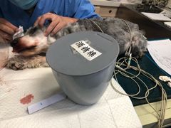 -北京派仕佳德动物医院·超导核磁·CT·神经科·骨科·内外科·急重症管理中心