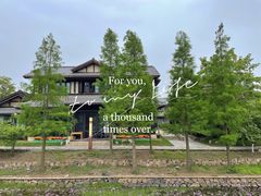 -西山漾湿地公园