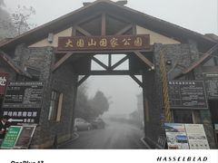 -云南屏边大围山国家公园