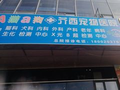 -A猫a狗全科·犬猫异宠·芥西宠物医院(南开总院)