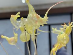 -杭州平安悦坊 PAFC LIVING