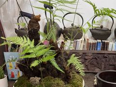 -道南書院·私房菜·早午茶·茶馆