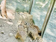 -水上乐园·欢乐世界