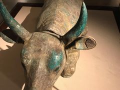 -宁夏博物馆