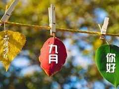 -滋粥楼·顺德菜海鲜茶点(方舟店)