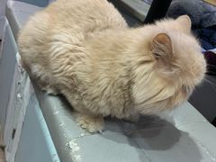 -小时光咖啡馆(开森度假森林店)