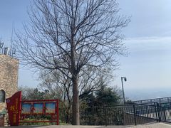 -紫金山山顶公园
