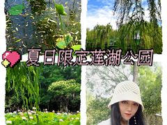 -莲湖公园