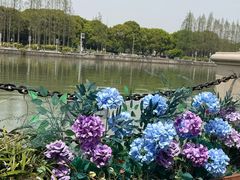 -80s港式茶餐廳