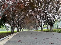 -石家庄市植物园