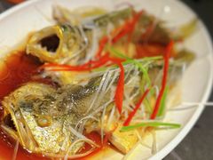 -前海沿·青岛菜(大拇指广场石老人店)