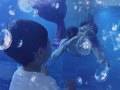 -涛·海底餐厅·美人鱼·自助餐·海底隧道(三亚海棠湾洲际度假酒店)