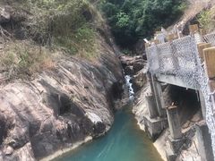 -广州白江湖森林公园