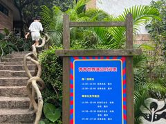 -青青世界