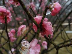 -湖南嵩云山国家森林公园