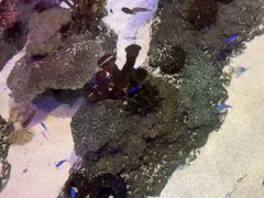 -沈阳海洋探索中心