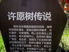 -东澳岛