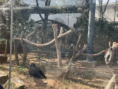 -苏州上方山国家森林公园