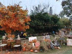 -HERRE·FARM 赫尔露营农场·团建聚会包场