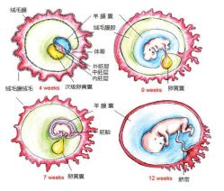 -邢台妇产医院