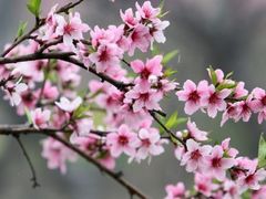 -绿岛公园(滨海新区)