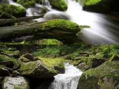 -本溪汤沟绿石谷森林公园