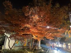 -丽市酒店(苏州平江观前街店)