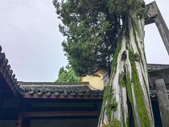 -太平天国侍王府