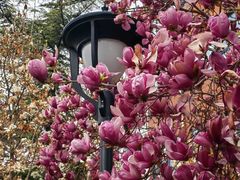 -北京市海淀外国语实验学校