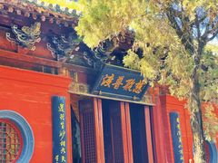 -洛阳白马寺