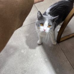 -ChuLian初莲日式美甲美睫