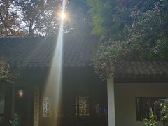 -秋霞圃
