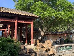 -顺峰山公园