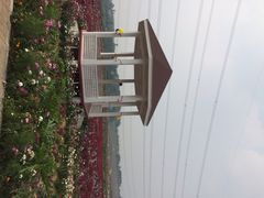 紫颐香薰山谷薰衣草庄园-紫颐香薰山谷景区