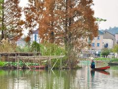 -白塔湖国家湿地公园