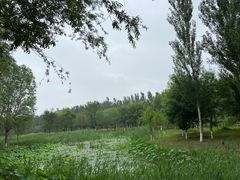 -东郊湿地公园