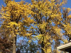 -南通博物苑-崇川人民公园