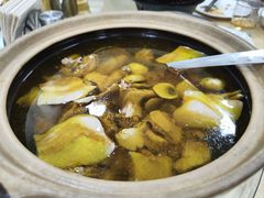 鸽子汤-沪依小酒馆心意菜