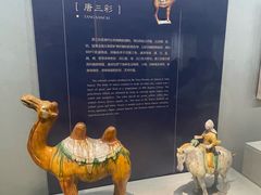 -镇江博物馆