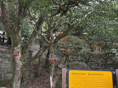-普陀山风景名胜区-法雨禅寺