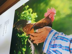 -肥三土菜馆(五四广场店)