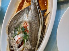 -大蓉和(双楠店)